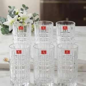 "6 Pcs Elegant Designer Glass Set"